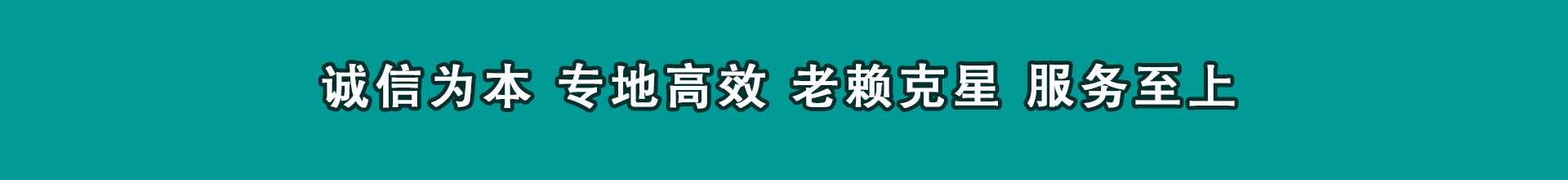 仪征收数公司